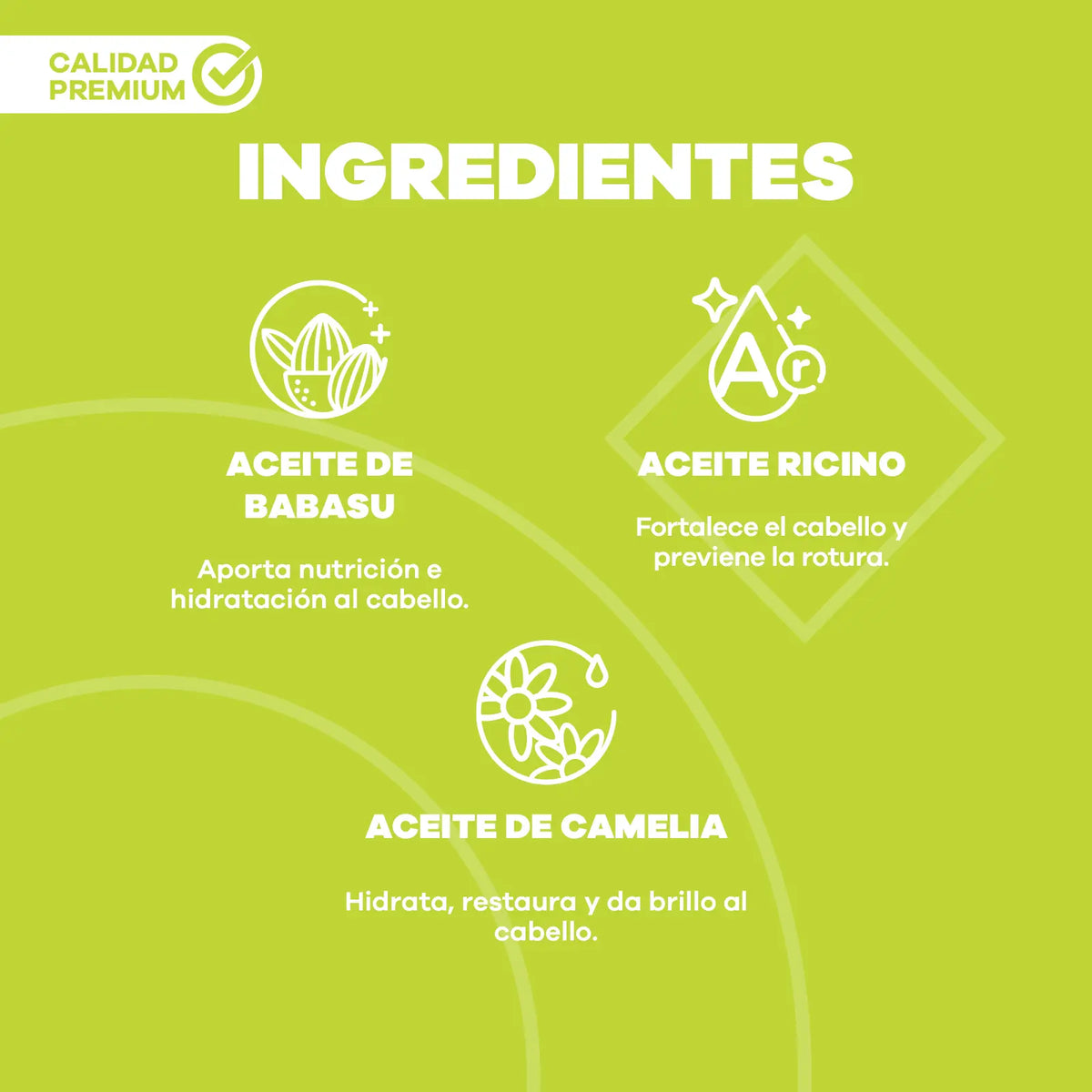 Óleo B8 ingredientes